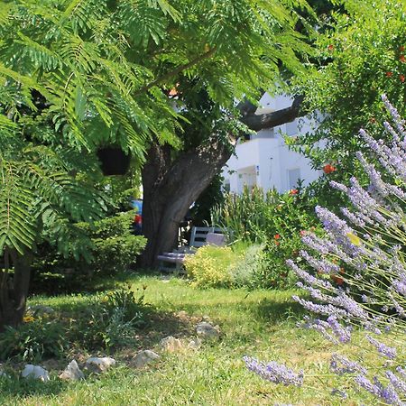 Apartments 501 - Rab Island Oasis Retreat スペタルスカ・ドラガ エクステリア 写真