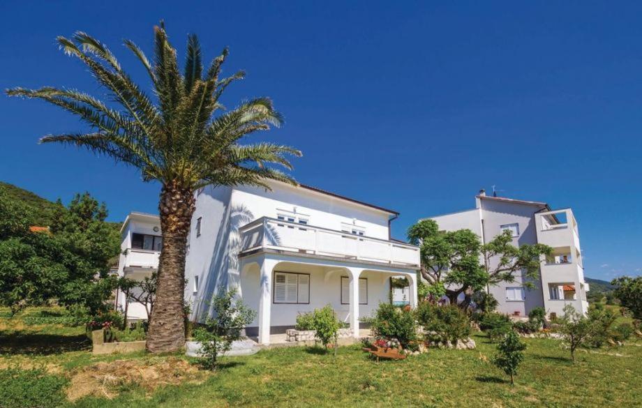 Apartments 501 - Rab Island Oasis Retreat スペタルスカ・ドラガ エクステリア 写真
