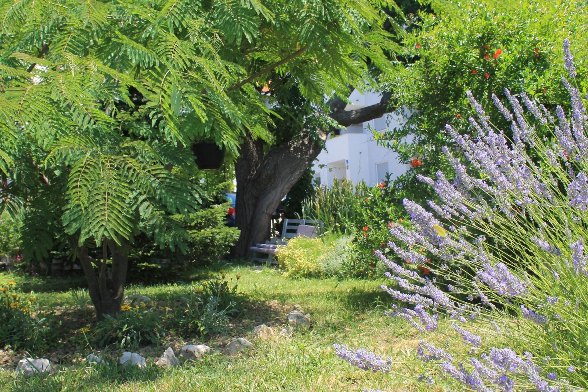 Apartments 501 - Rab Island Oasis Retreat スペタルスカ・ドラガ エクステリア 写真