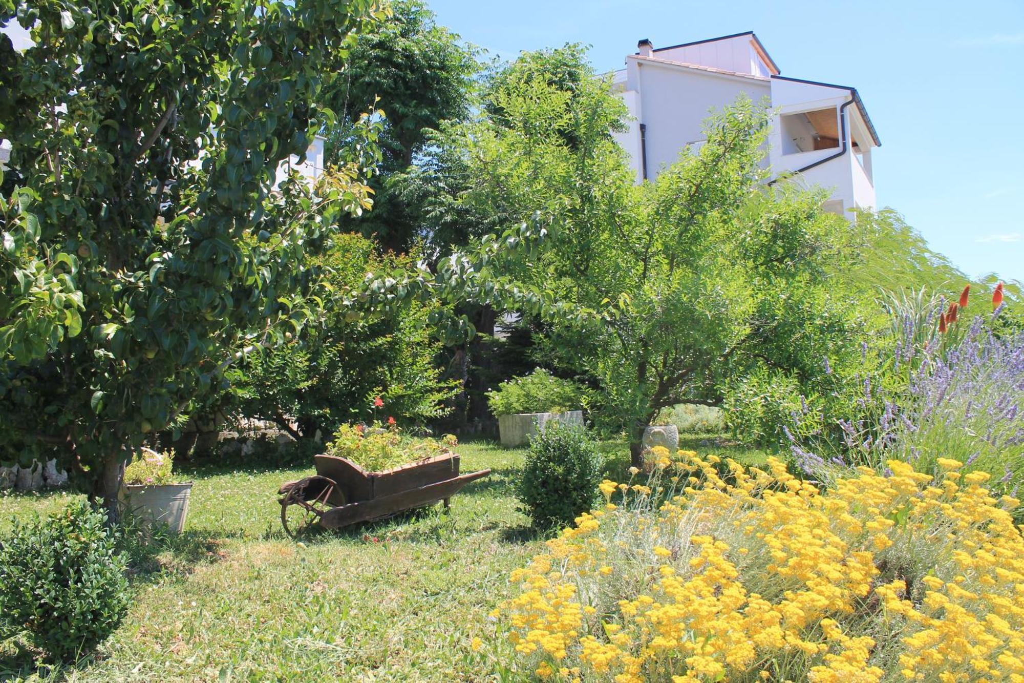 Apartments 501 - Rab Island Oasis Retreat スペタルスカ・ドラガ エクステリア 写真