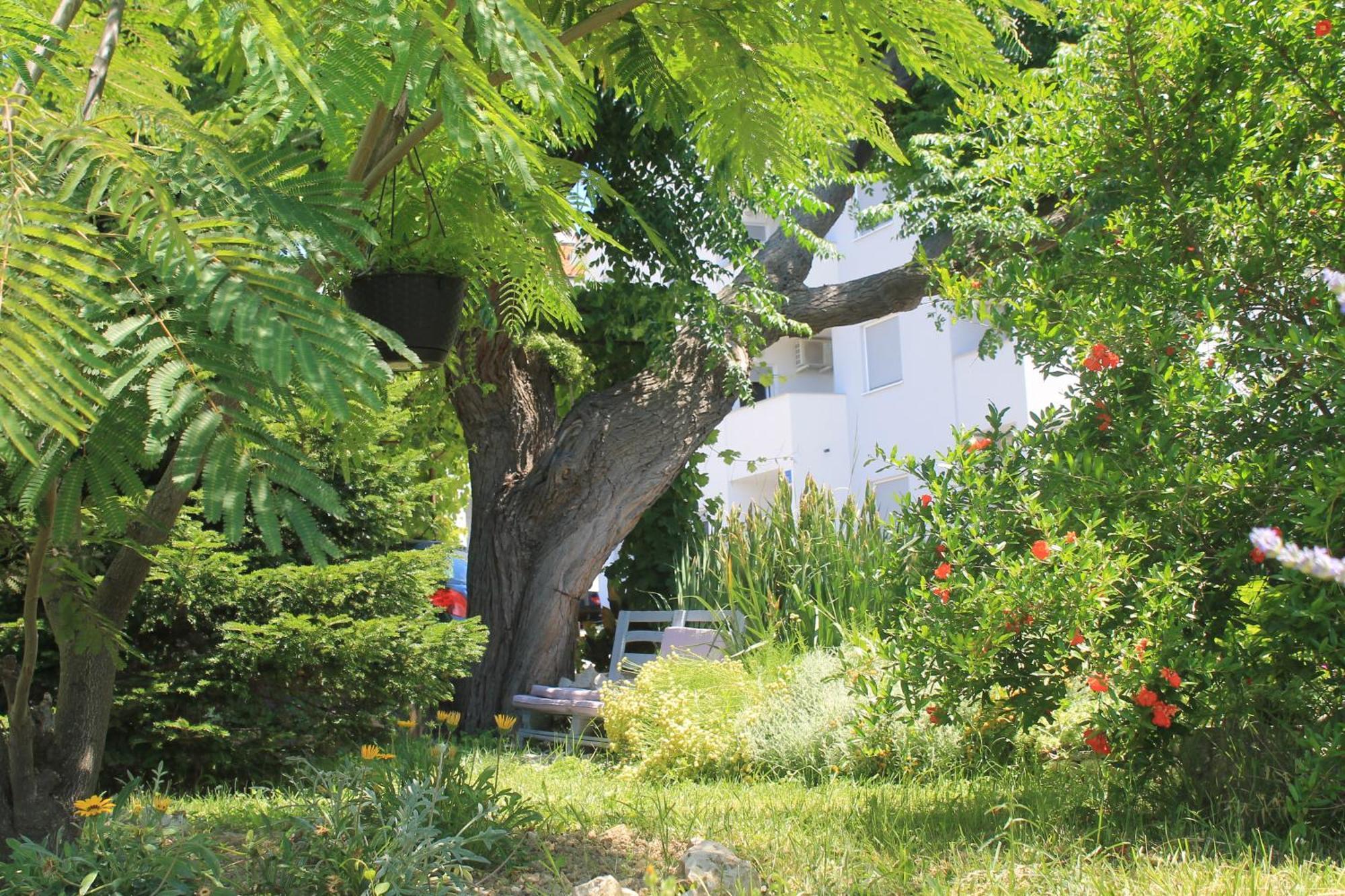 Apartments 501 - Rab Island Oasis Retreat スペタルスカ・ドラガ エクステリア 写真