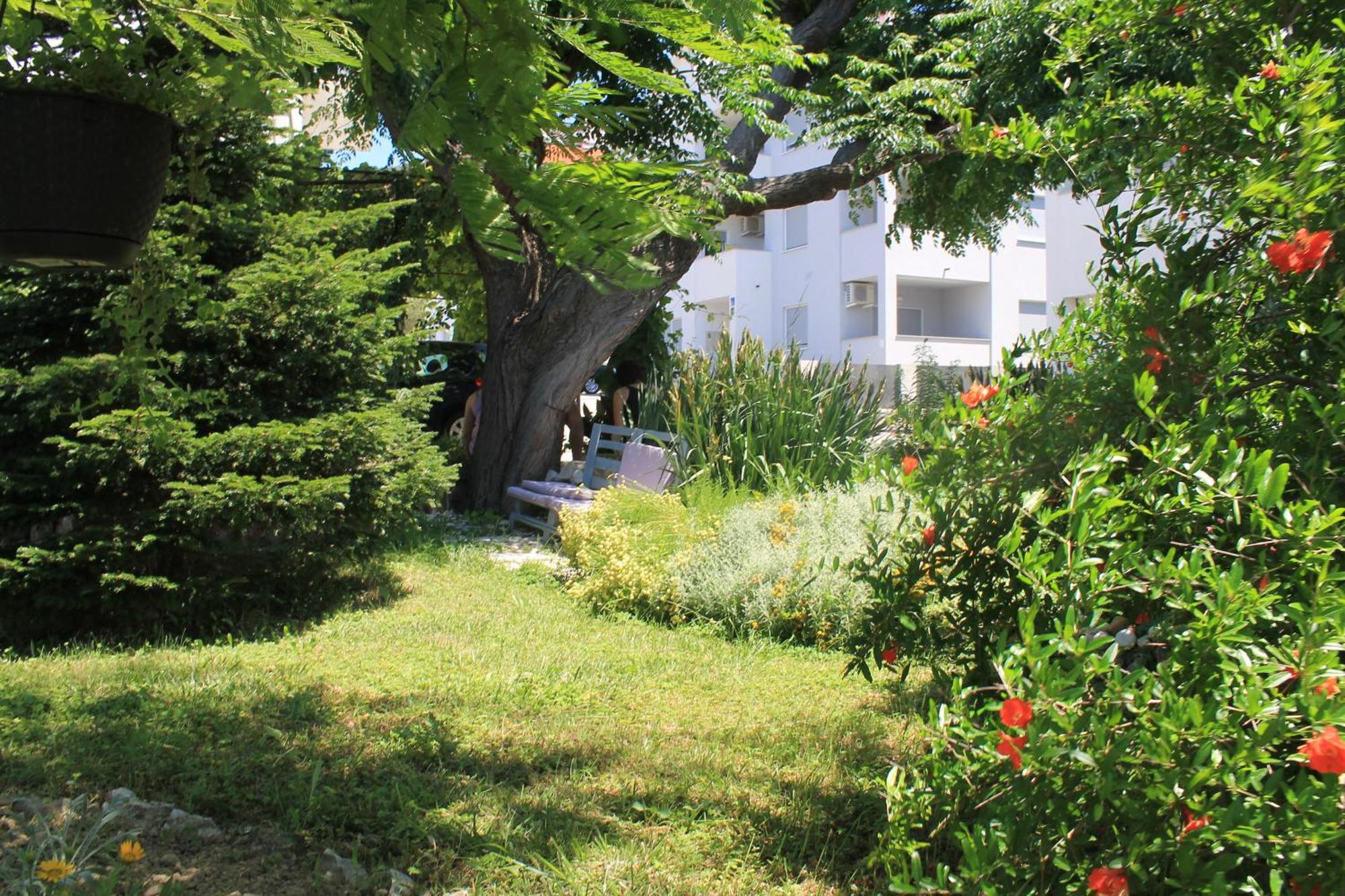 Apartments 501 - Rab Island Oasis Retreat スペタルスカ・ドラガ エクステリア 写真
