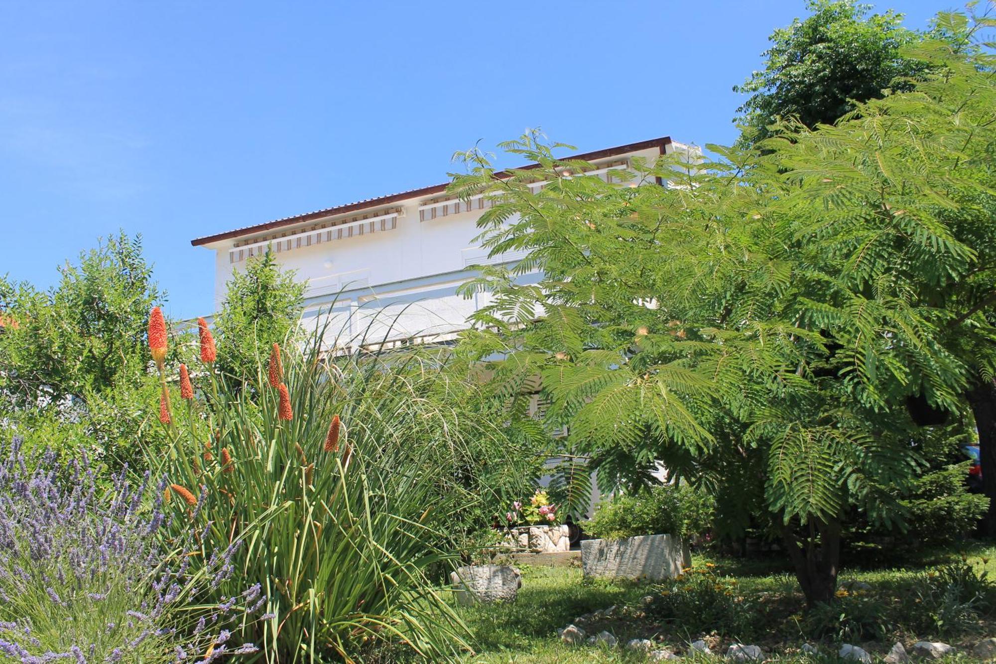 Apartments 501 - Rab Island Oasis Retreat スペタルスカ・ドラガ エクステリア 写真