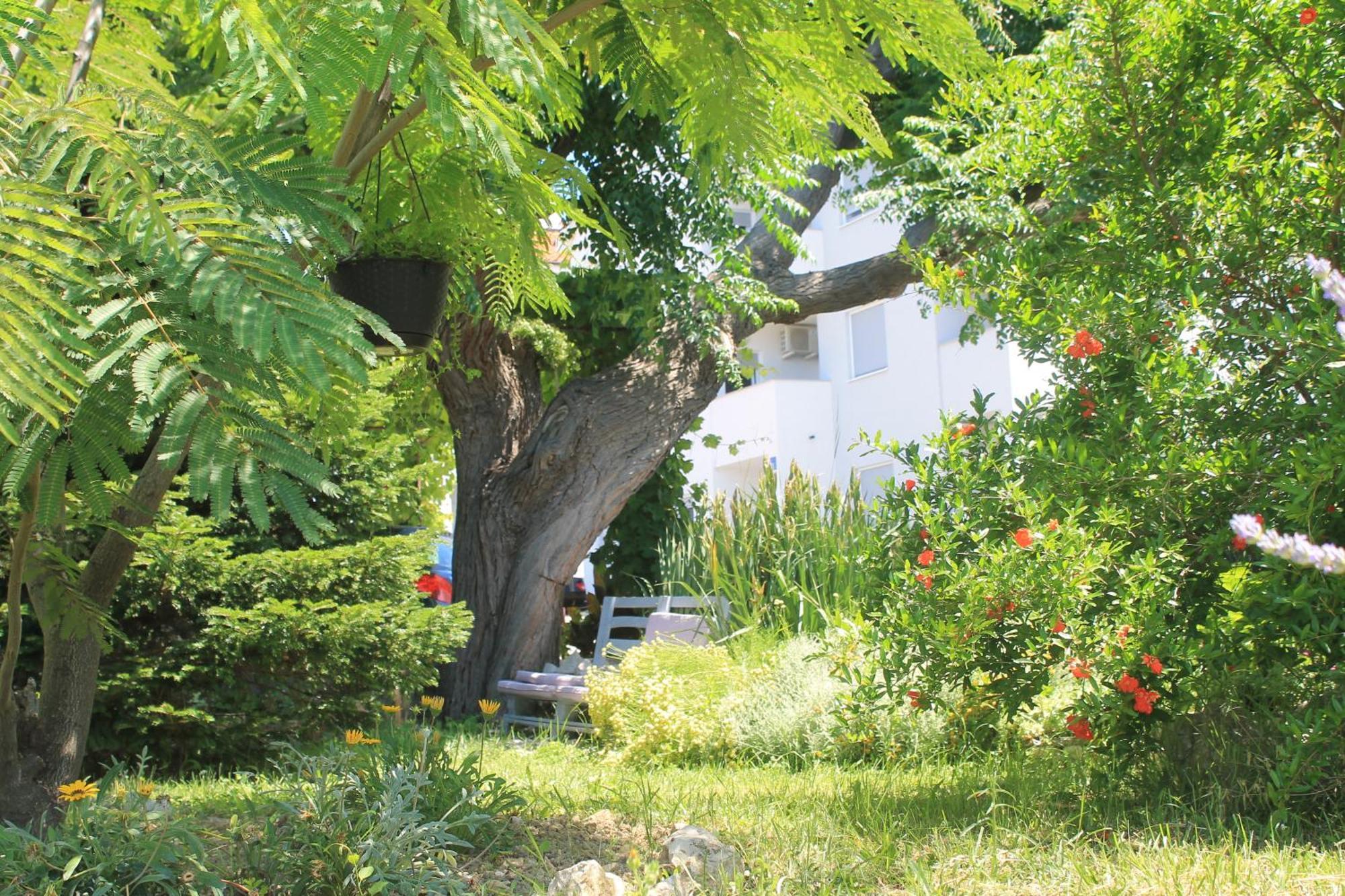 Apartments 501 - Rab Island Oasis Retreat スペタルスカ・ドラガ エクステリア 写真