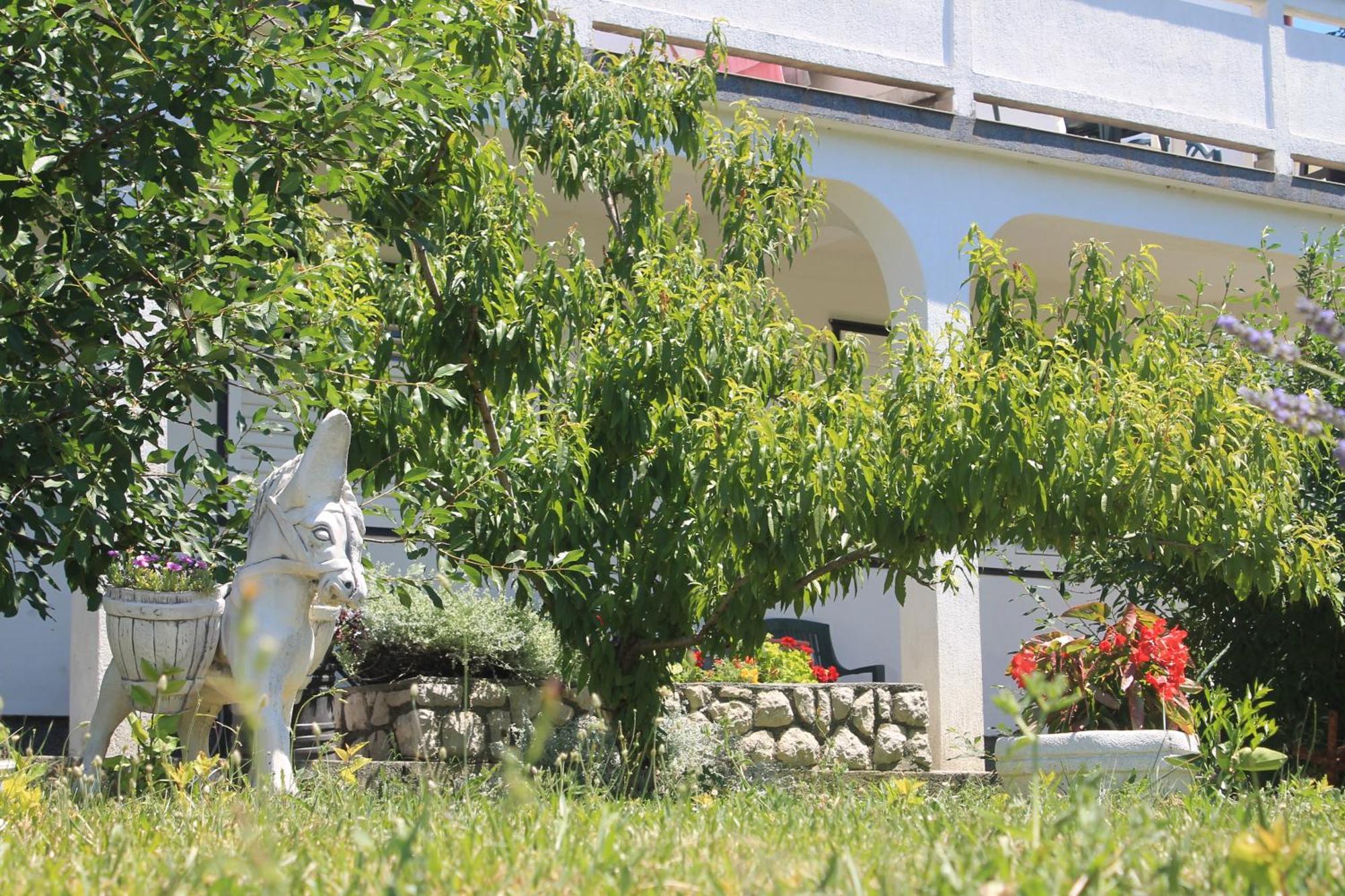 Apartments 501 - Rab Island Oasis Retreat スペタルスカ・ドラガ エクステリア 写真